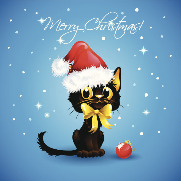 可爱的猫戴着圣诞老人的帽子。图片下载