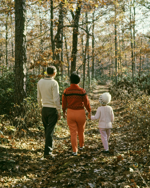 秋天的痕迹。图片下载