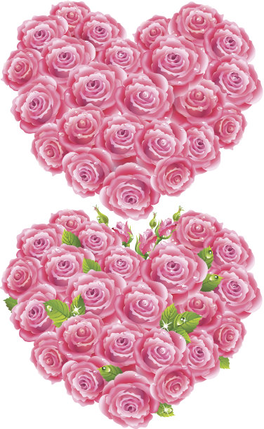 玫瑰的心图片下载