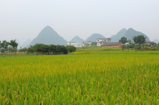 安静的山村图片下载