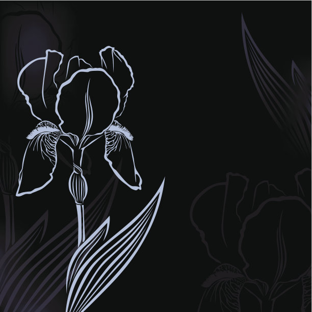 卡与虹膜图片下载