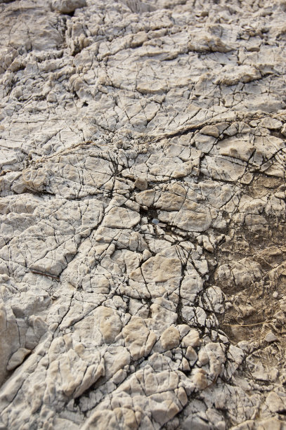 近距离观察石灰岩图片下载