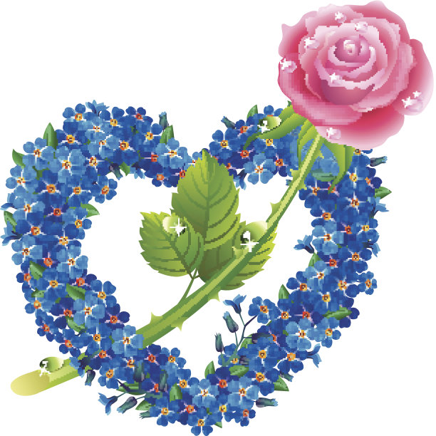 心从花勿忘我-一朵玫瑰图片下载