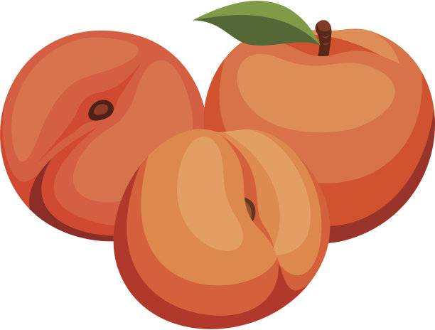 三个桃子。矢量插图。图片下载