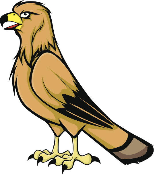 鸣叫金鹰矢量插图图片下载