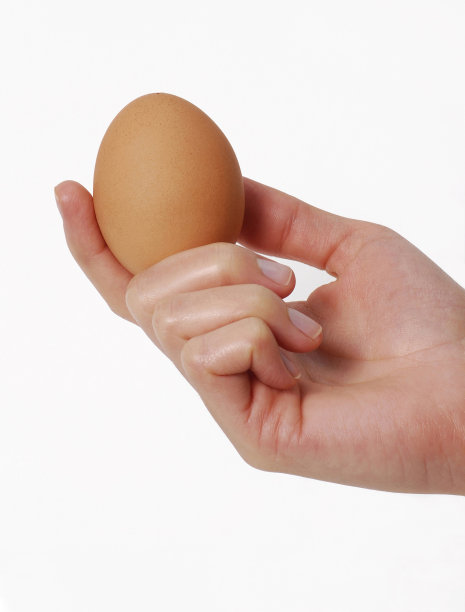 只是鸡蛋。图片下载