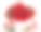节日里摆放鲜红的孤挺花和饼干盘图片下载