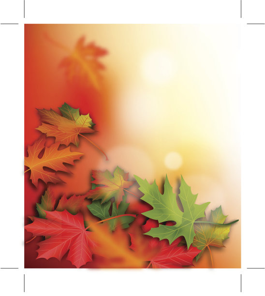 秋天的落叶图片下载