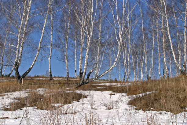 2004年春,图片下载