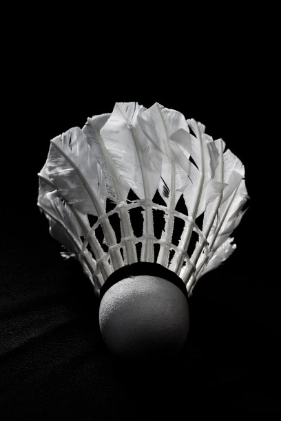 白色羽毛球孤立在黑色图片下载