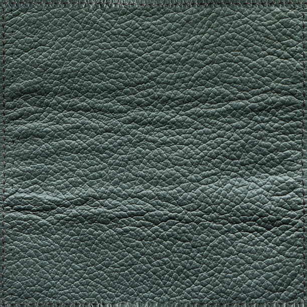 黑色皮革质感(XXXL)图片下载