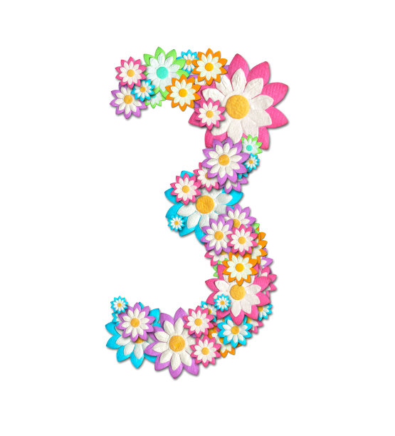 3 .从白色背景上孤立的花创建图片下载