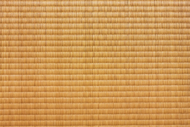 塔塔米垫图片下载