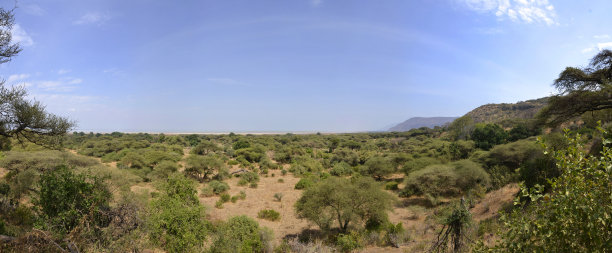 曼雅拉湖国家公园全景图片下载