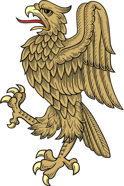 金鹰向量图片下载