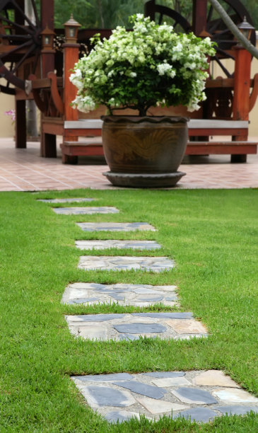 公园里绿草地上的小路图片下载