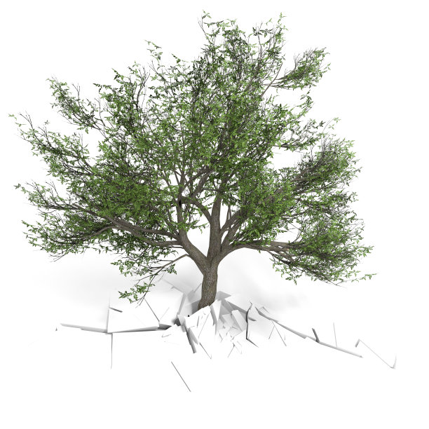 自然赢得图片下载