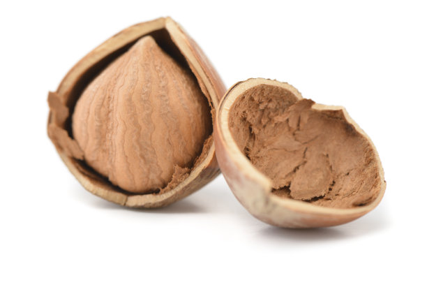 了榛子图片下载