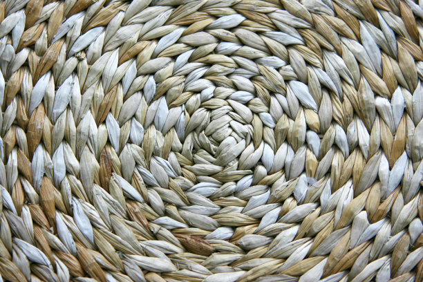 藤条的特写图片下载