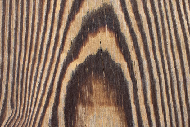 落叶松木材纹理图片下载