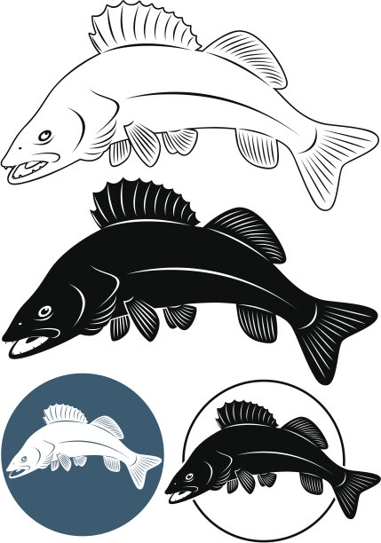 鱼角膜白斑图片下载