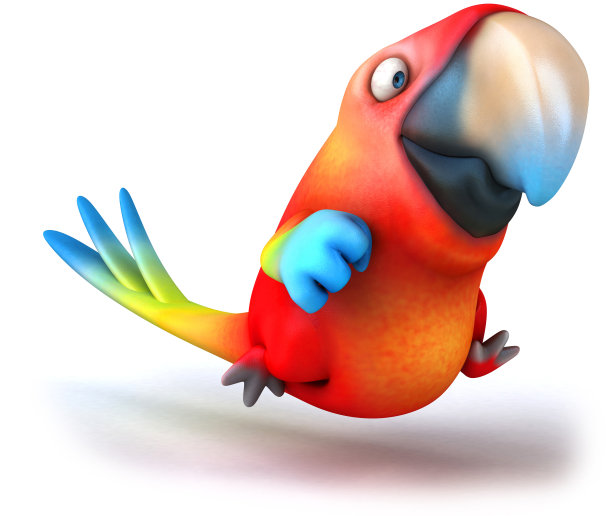 有趣的鹦鹉图片下载