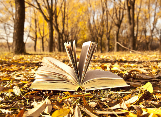 魔法书的背景秋天图片下载