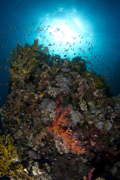 水下背景图片下载