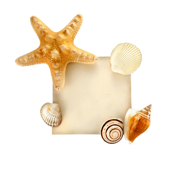 夏天的名片。图片下载