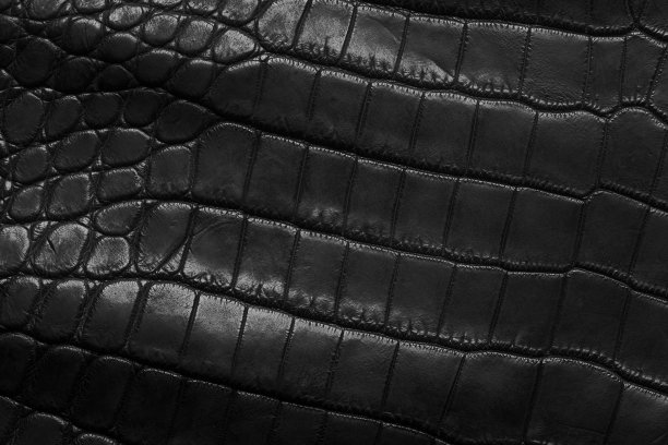 鳄鱼皮图片下载