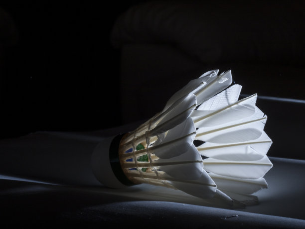 羽毛球羽毛球图片下载