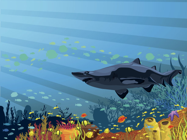 珊瑚礁上有彩色的鱼和鲨鱼素材图片