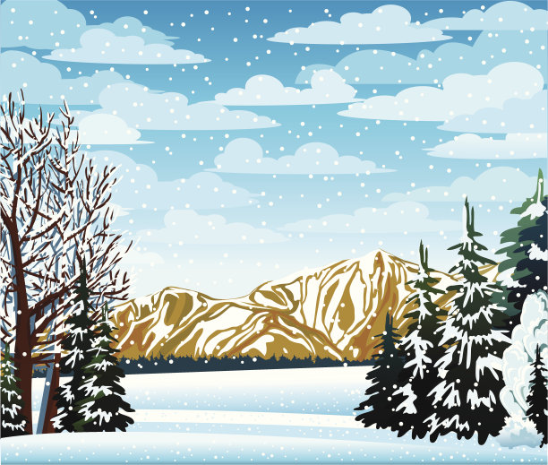 冬天的景色有冰冻的树木图片下载