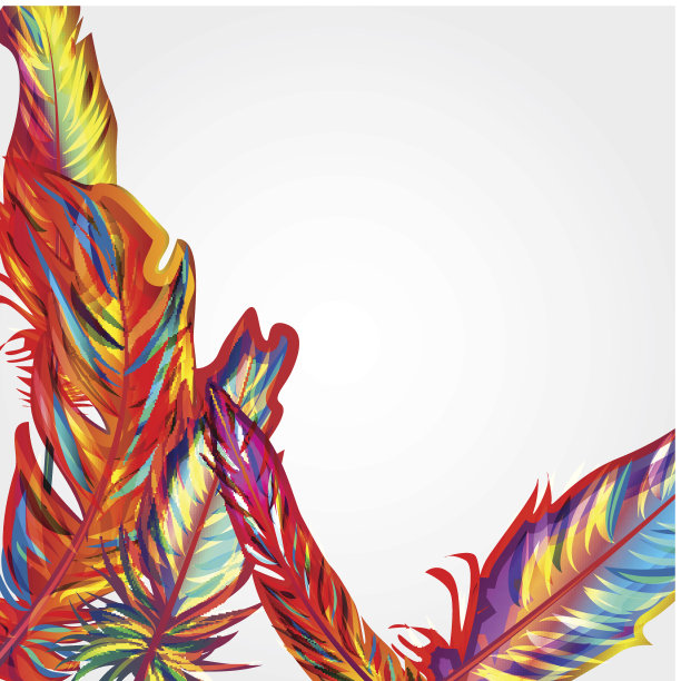 鲜艳的羽毛图片下载