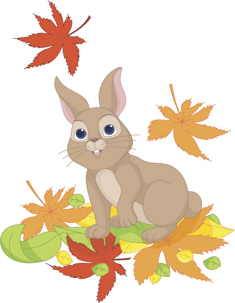 野兔看着落叶图片下载