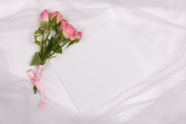 美丽的玫瑰和卡片图片下载