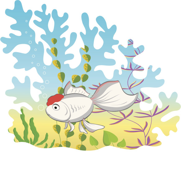 我的金鱼图片下载