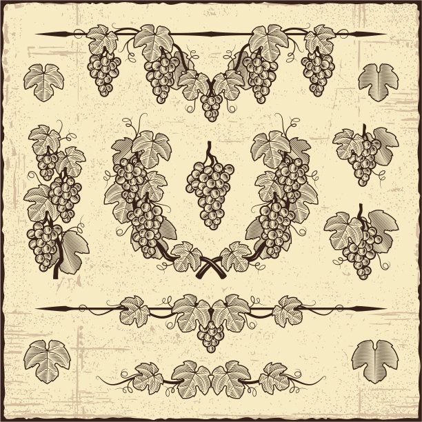 复古的葡萄集合图片下载