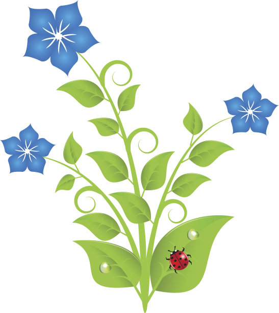 带叶子和漩涡的蓝色花朵图片下载