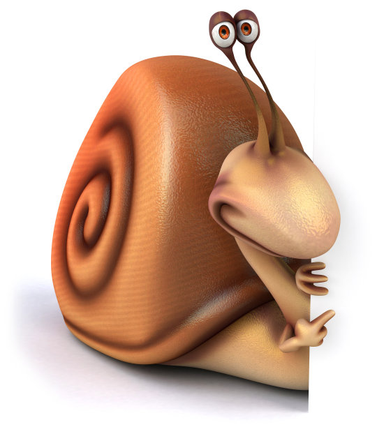 有趣的蜗牛图片下载