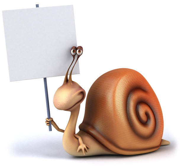 有趣的蜗牛图片下载