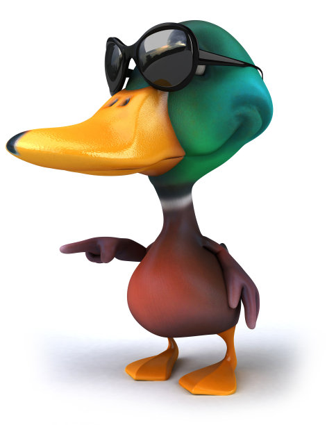 有趣的鸭子图片下载