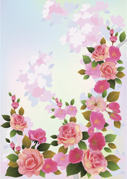 玫瑰。春天的花束图片下载