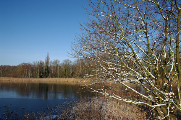 冬天设置图片下载