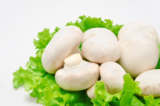 莴苣叶上的蘑菇图片下载