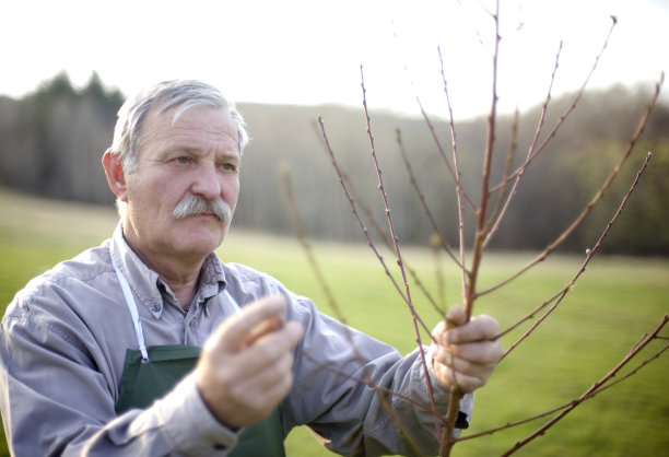 农业检验图片下载