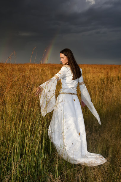 中世纪黄金时刻的婚礼图片下载