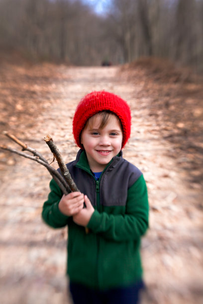 小男孩在徒步旅行，收集柴火图片下载