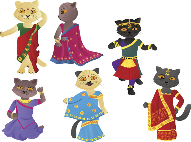 穿纱丽的猫图片下载