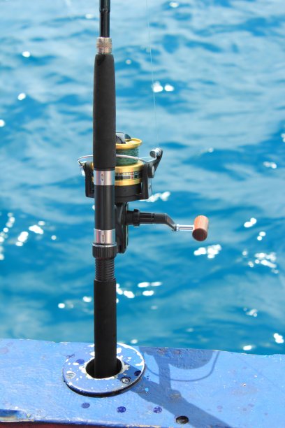 的鱼竿和鱼线图片下载